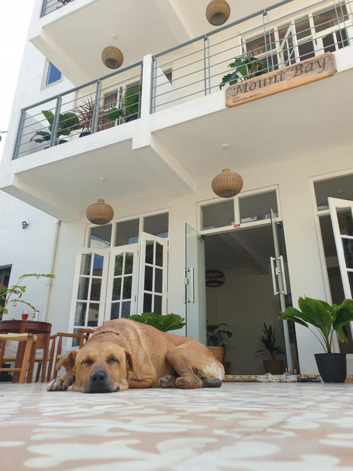 Mountbaylk Hotel Dehiwala-Mount Lavinia Kültér fotó