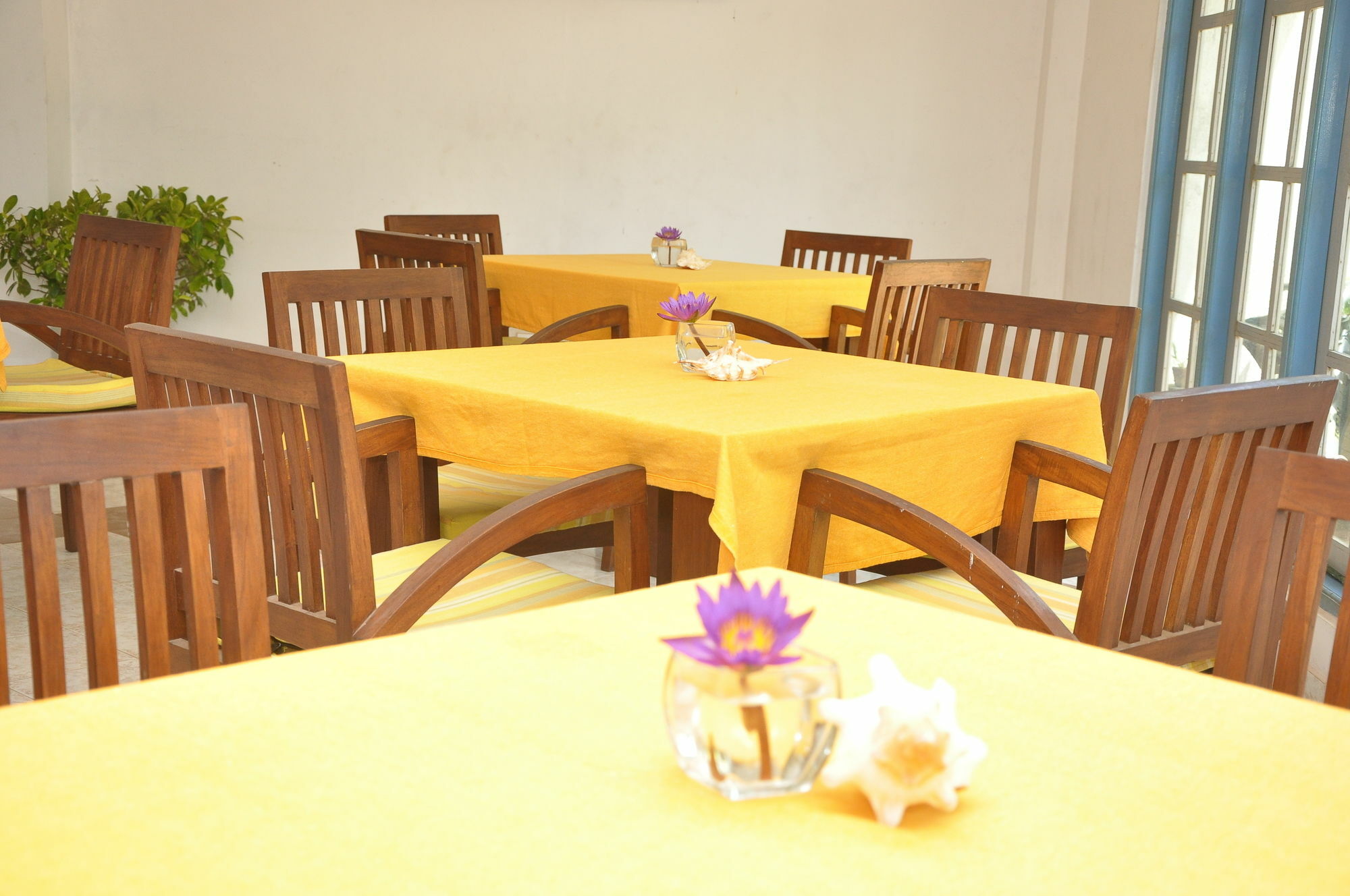 Mountbaylk Hotel Dehiwala-Mount Lavinia Kültér fotó